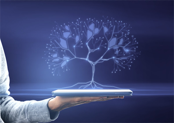 Business Digital Presence