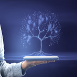 Business Digital Presence